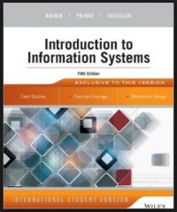 Image of Introduction to Information Systems